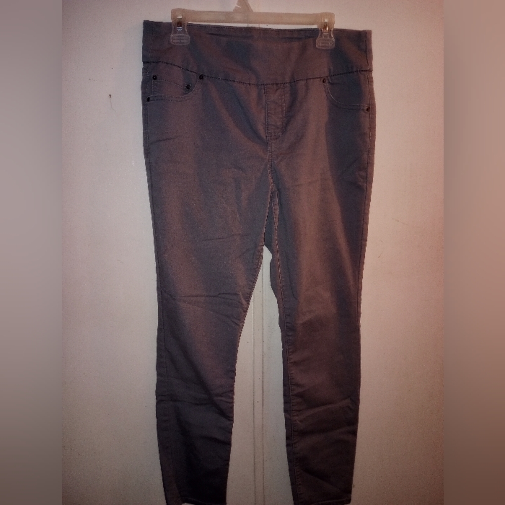 Silver Gray Jeggings